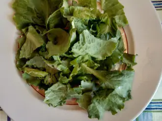 Шаг 5: На тарелку для салата выложите листья салата Лоло Биондо, прямо порвите их руками на крупные куски, чтобы они оставались пушистыми.