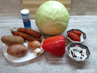 Шаг 1: Подготовьте ингредиенты для щей: морковь, лук, перец болгарский, картофель, капусту, помидоры, чеснок, перец черный горошком, перец душистый, соль.