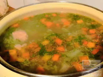 Шаг 6: Перед окончанием варки добавьте соль по вкусу и зелень. Выключите плиту и дайте супу настояться еще 10 минут.